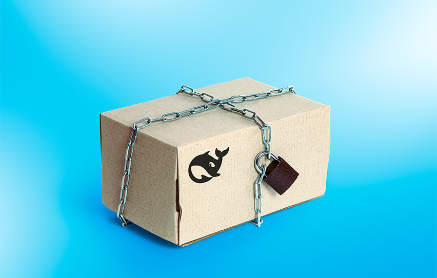 تنظیمات حریم خصوصی در دیپ سیک (DeepSeek) و راه‌ اندازی نسخه آفلاین