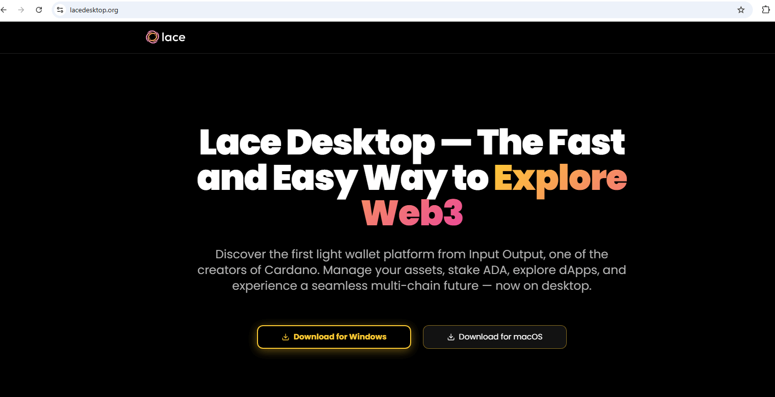 یک وب سایت جعلی دیگر از Lace