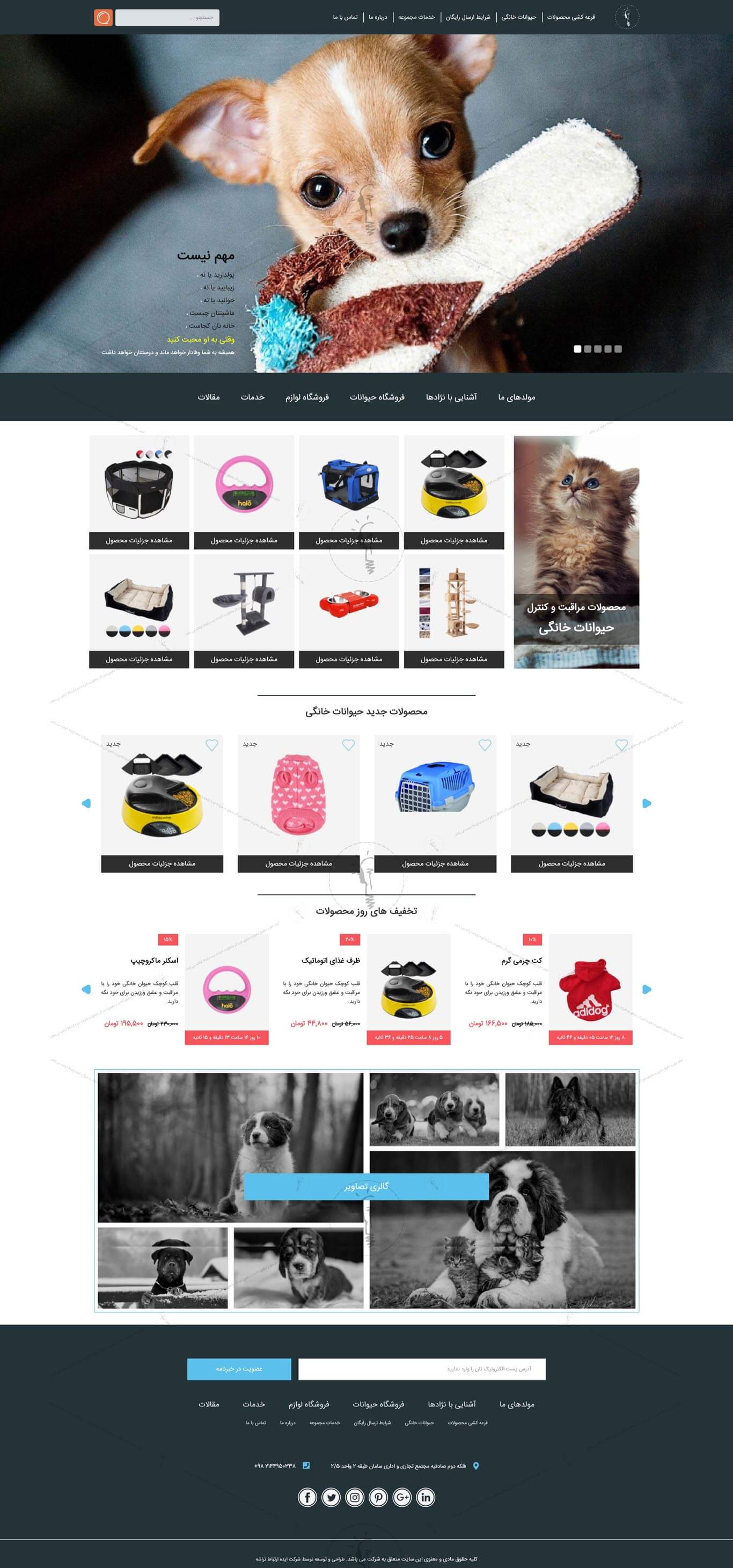 خرید قالب سایت و طراحی سایت فروشگاه حیوانات خانگی