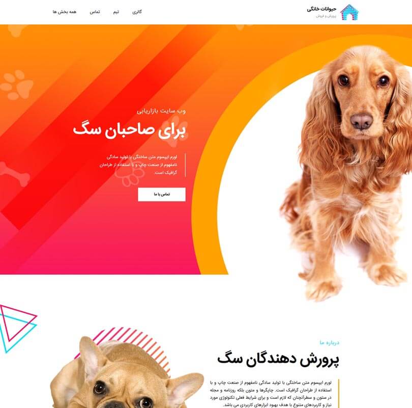 خرید قالب سایت و طراحی سایت پرورش دهندگان سگ